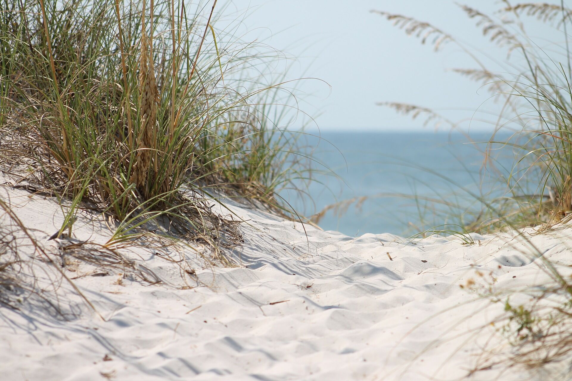 Enjoy sightseeing in Panama City Beach on your next vacation
